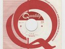 GARAGE PUNK 1966 The Haunted 1-2-5 CANADIAN Orig HUNTED