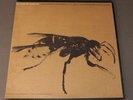 Sounds of Insects A. T. Gaul Folkways Records LP 1960