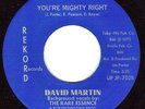 DAVID MARTIN & RARE ESSENCE MODERN SOUL DISCO 45 Rekord