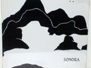 SONORA: Self Titled LP private press SSW synth HEAR