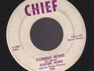   rare blues ELMORE JAMES Coming Home CHIEF-7001  