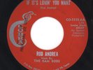 Rod Andrea 1965 Cobra 45rpm Northern Soul Tex-Mex
