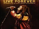 BOB MARLEY / WAILERS Live Forever HUGE VINYL LP BOX SET