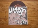 The Wonder Years Won't be Pathetic Forever Title Fight