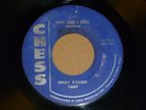 JIMMY ROGERS - WHAT HAVE I DONE -           popcorn