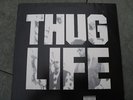 2 Pac,Thug Life,Album