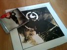 U2 Wide Awake in Europe - 12 inch LP RARE (plus bonus)