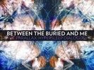 Between The Buried and Me The Parallax RSD 2011