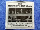 BEACH BOYS Hawthorne Hot Shots 2EP TMOQ pic sleeve NM-
