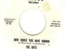 BATS:How Could You Have Known-Evelyn-7