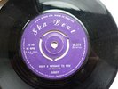 DANDY LIVINGSTONE RUDY A MESSAGE TO YOU BLUE BEAT SKA