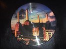 RARE Pink Floyd *ANIMALS* Picture Disc / MINT