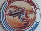 LYNYRD SKYNYRD-FREEBIRD PICTURE DISC LP