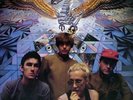 LP The Go-Betweens - Metal and Shells -