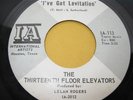 Thirteenth Floor Elevators Rare Texas Garage 45 RPM