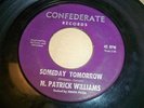 N. PATRICK WILLIAMS 45 CONFEDERATE BAD SEED GARAGE ROCK