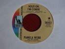 PAMELA WEBB Hold on FEMALE FUZZ PSYCH SOUL DJ 45 HEAR