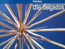 DELGADOS - Peloton ( 1998 UK LP, Near Mint)