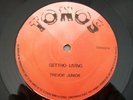 Trevor Junior GHETTO LIVING/HAVE FAITH IN JAH Tonos 12