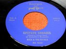 RICK & THE RIVALS Upstate Urbania SIGNED 45 Pebbles MP3