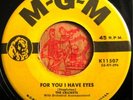 * CRICKETS For You I Have Eyes RARE DOO-WOP R&B MGM 45?