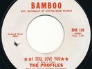 NORTHERN SOUL The Profiles I Still Love You 45 1969