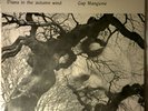 Gap Mangione - Diana In The Autmn Wind - 1968 - LP