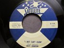 HOYT JOHNSON I JUST CANT LEARN 45 SATELLITE VG+