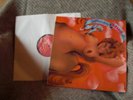 Stud September, UK Prog, German Orig. 1971