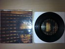 HOPE CONSPIRACY s/t 7