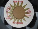 The Caravaan Texas Garage Punk Solar 236 45 RPM