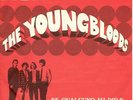 The YOUNGBLOODS. SE QUALCUNO MI DIRA'. In Italian.1968.