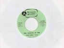 STEVE PARKS Still Thinking Of You REYNOLDS 45 DEEP SOUL