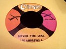 LEE ANDREWS never the less 45  northern soul ?? crimson
