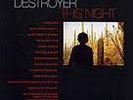 DESTROYER  This Night double LP New Pornographers Bejar