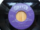 TICO AND THE TRIUMPHS MOTORCICLE ROCKABILLY