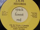 ALBERT WILLIAMS - I'm In Your Corner -  JAM -  DETROIT