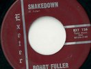 BOBBY FULLER & FANATICS 'Shakedown' 45 Exeter listen