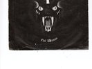 AFTER DARK 'EVIL WOMAN' EP NWOBHM PRIVATE SRT CUS 1981
