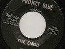 ENDD-45-Project Blue-MONSTER 1966 INDIANA Garage-Punk