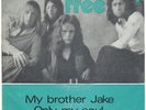 FREE*brother jake*RARE NORW PS*uk folk rock*LISTEN