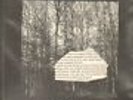 AKITSA / PRURIENT - split LP