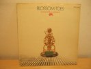 BLOSSOM TOES If Only For A Moment 1969 ORIG PSYCH LP M-