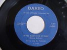DANNY and the GALAXIES on DARBO 1595 ; MICHIGAN GARAGE