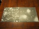 Grouper Alien Observer/Dream Loss LP - New and Unplayed