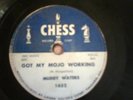 78 BLUES Muddy Waters Got My Mojo Working  CHESS