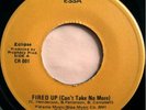 * ECLIPSE Fired Up RARE PRIVATE BOOGIE FUNK BREAKS 45 ?