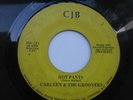 RARE FUNK 45 CARLEEN & THE GROOVERS MUSIC WORLD 221 CJB