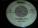 DOO-WOP BALLAD 45/ DARYL PETTY 