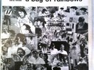 Bill Staines  FIRST ALBUM - A Bag of Rainbows RARE FOLK